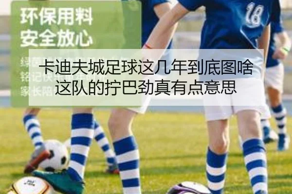 卡迪夫城足球这几年到底图啥 这队的拧巴劲真有点意思